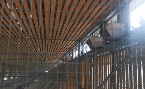 RFID設(shè)備和定制高頻天線是如何在信鴿競賽中發(fā)揮作用的