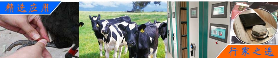 超高頻工業(yè)PDA用于服裝訂貨會(huì)方案 - RFID解決方案|畜牧業(yè)動(dòng)物管理/資產(chǎn)管理/無源測溫/寵物管理 - 上海營信-RFID技術(shù)專家